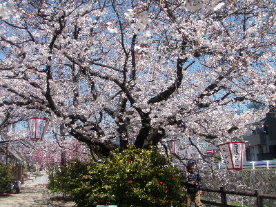 a0054240_2203329.jpg