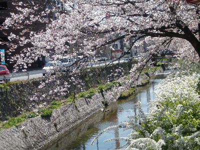 a0054240_2212041.jpg
