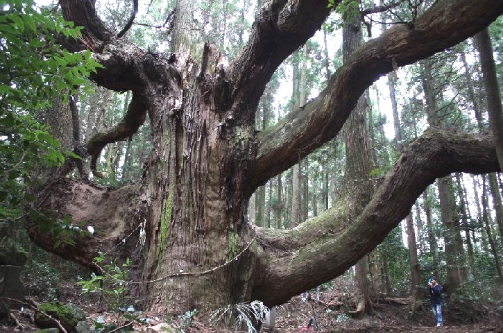 b0187043_044275.jpg