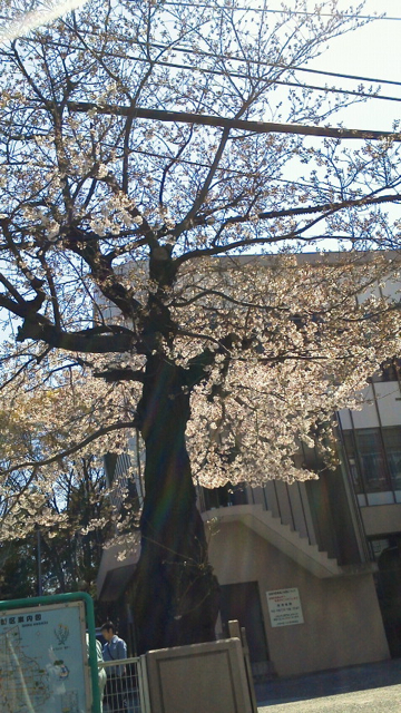 f0179947_2159325.jpg