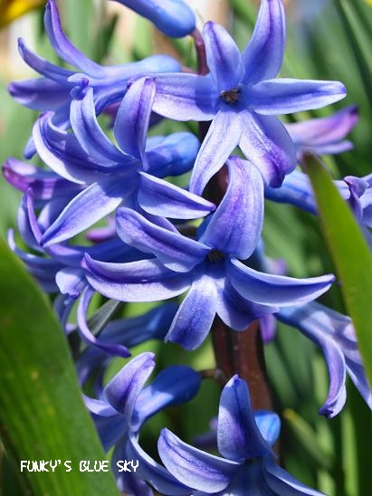c0145250_12355077.jpg