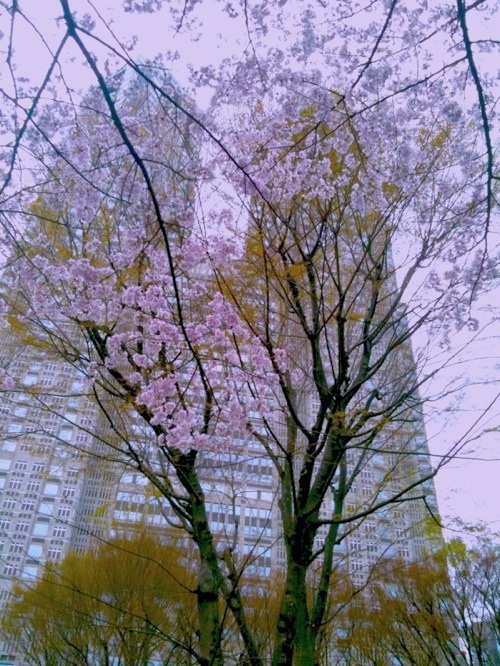c0138553_211112.jpg
