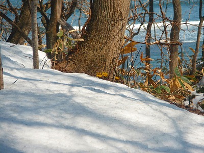 e0004756_20281574.jpg