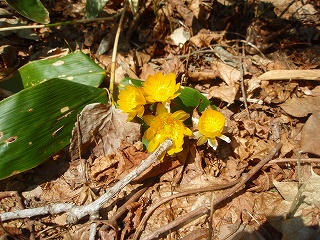 e0004756_2030832.jpg