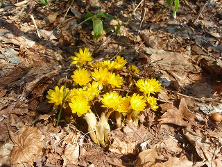 e0004756_2031433.jpg