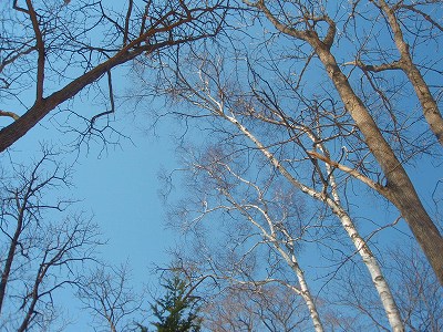 e0004756_20325352.jpg
