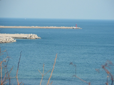 e0004756_20394840.jpg