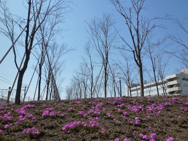 c0134862_13191962.jpg
