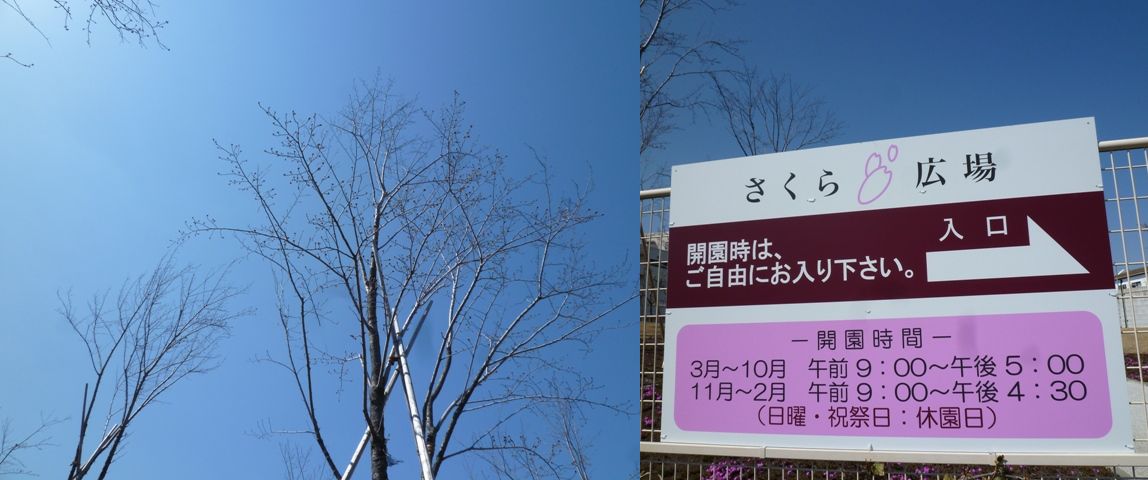 c0134862_1319558.jpg