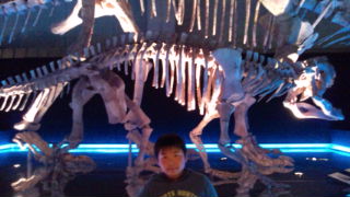 b0049463_16364545.jpg