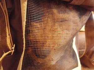c0135363_4112415.jpg