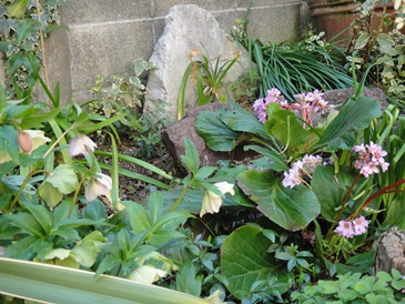 f0195963_13235423.jpg