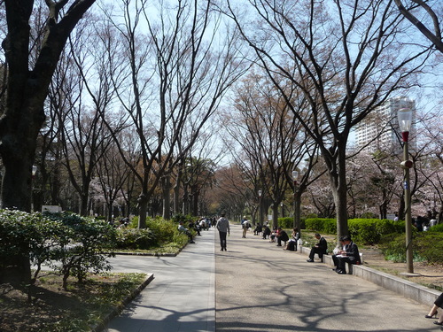 b0003364_1946544.jpg