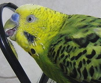f0196665_23255421.jpg