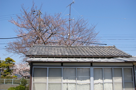 d0179066_19164766.jpg