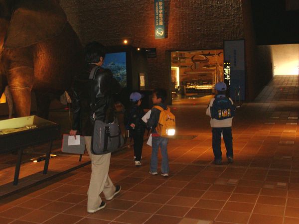 a0068370_13392583.jpg