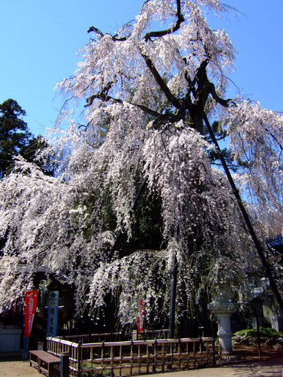 a0105480_2122277.jpg