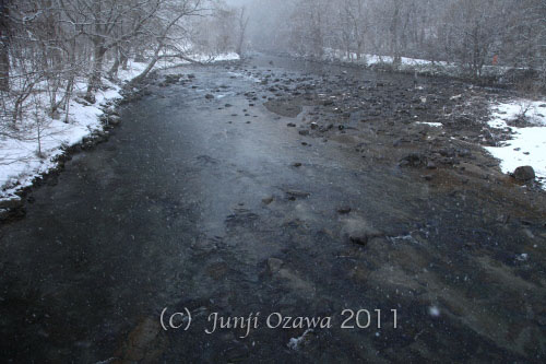 c0195281_8423698.jpg