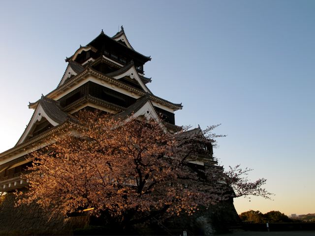 e0132881_35260.jpg