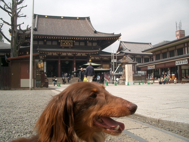 d0227686_21395739.jpg