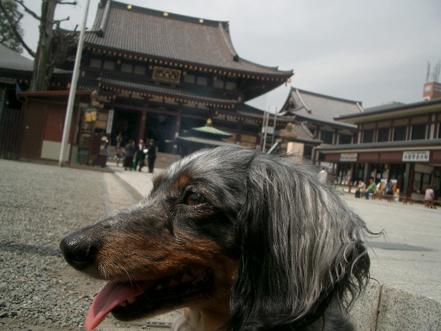d0227686_21422127.jpg
