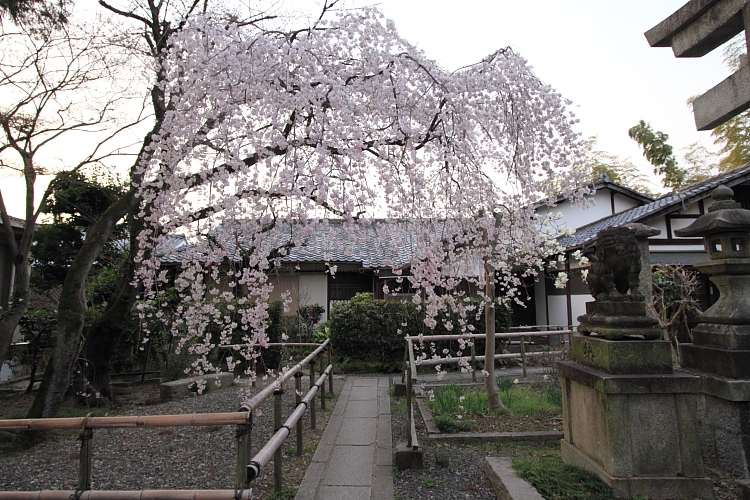e0051888_536556.jpg