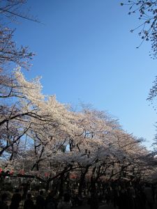 b0164690_2337461.jpg