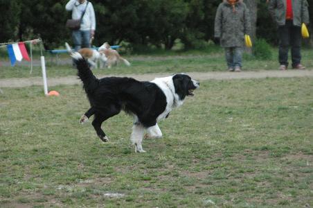 c0123890_14102852.jpg