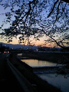 a0103293_23371267.jpg
