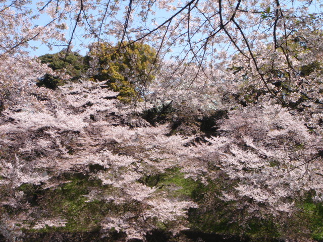 c0228393_22445941.jpg