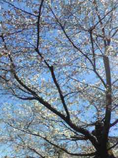 c0034396_19515591.jpg