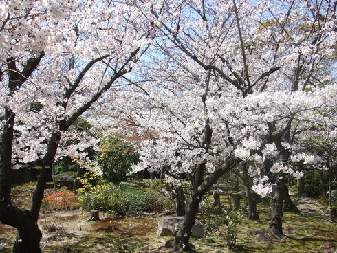 e0180099_17232772.jpg