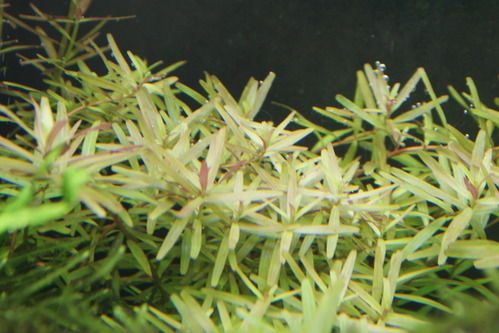 a0183301_21584190.jpg