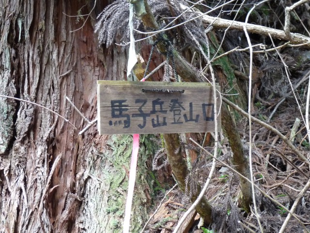 b0025101_0141642.jpg