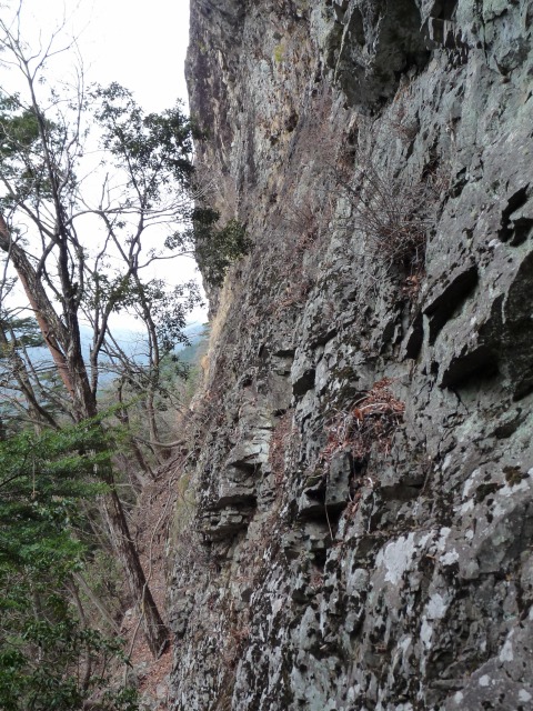 b0025101_0413343.jpg