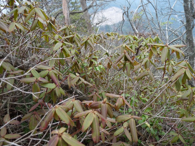 b0025101_0533775.jpg