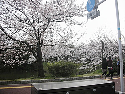 f0035506_9492865.jpg