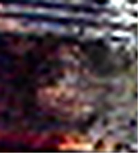e0103408_2055323.jpg
