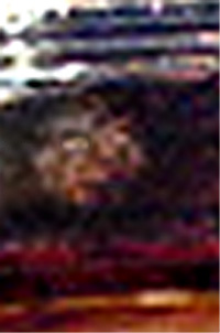 e0103408_20554240.jpg