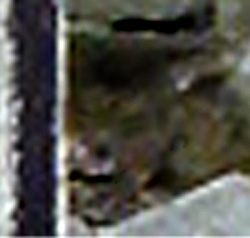 e0103408_20562025.jpg