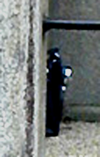 e0103408_20563113.jpg
