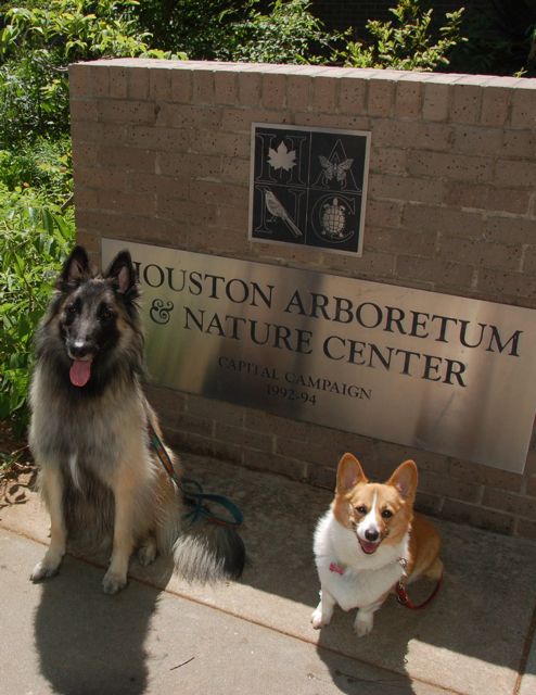 f0227709_447520.jpg