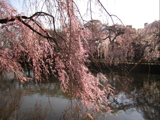 c0219815_19285239.jpg