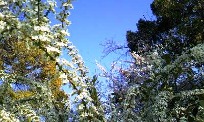d0024220_22471981.jpg