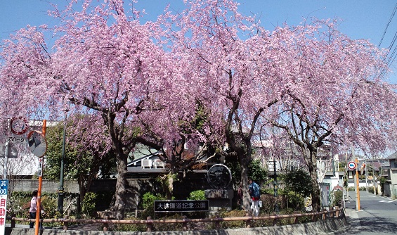 b0188121_6292579.jpg