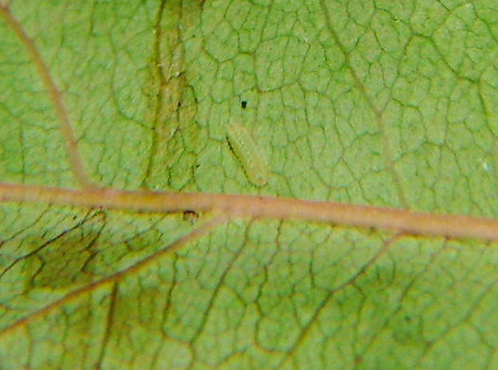 f0181821_16575490.jpg