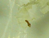 f0181821_171556.jpg