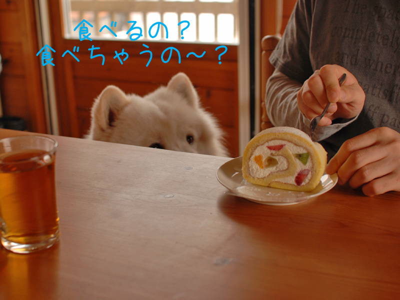 b0146024_14114217.jpg