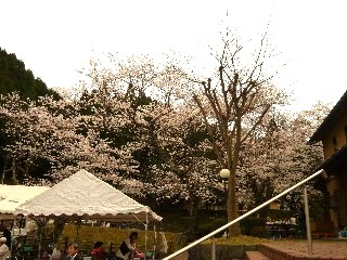 a0098027_15175083.jpg