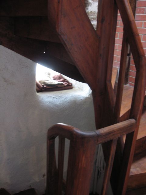 c0188527_4584352.jpg